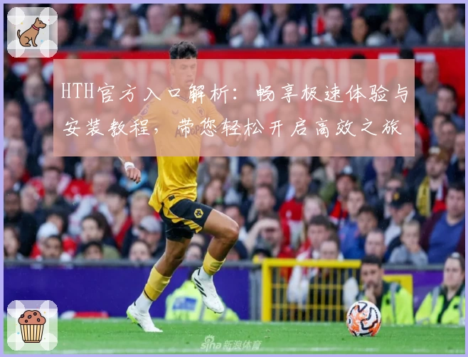 HTH官方入口解析:畅享极速体验与安装教程,带您轻松开启高效之旅